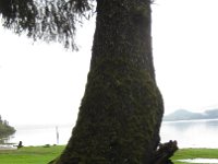 Rain Forest Resort Village (4)